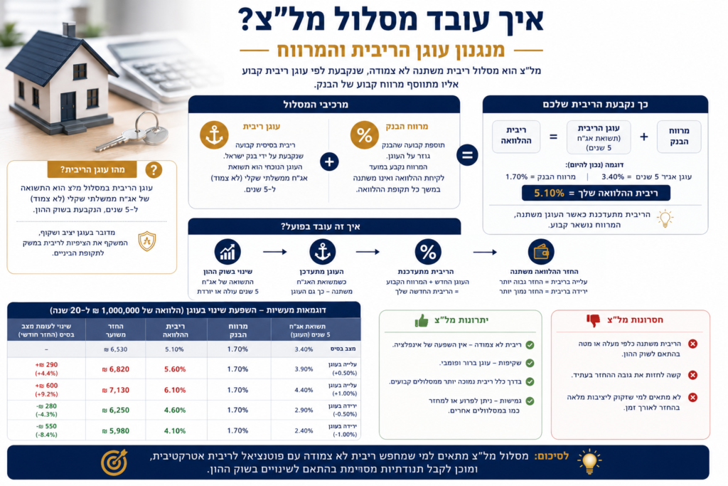 איך עובד מסלול מלצ מנגנון עוגן הריבית והמרווח